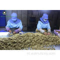 Walnut Kernels Light Pieces (LP) van Yunnan